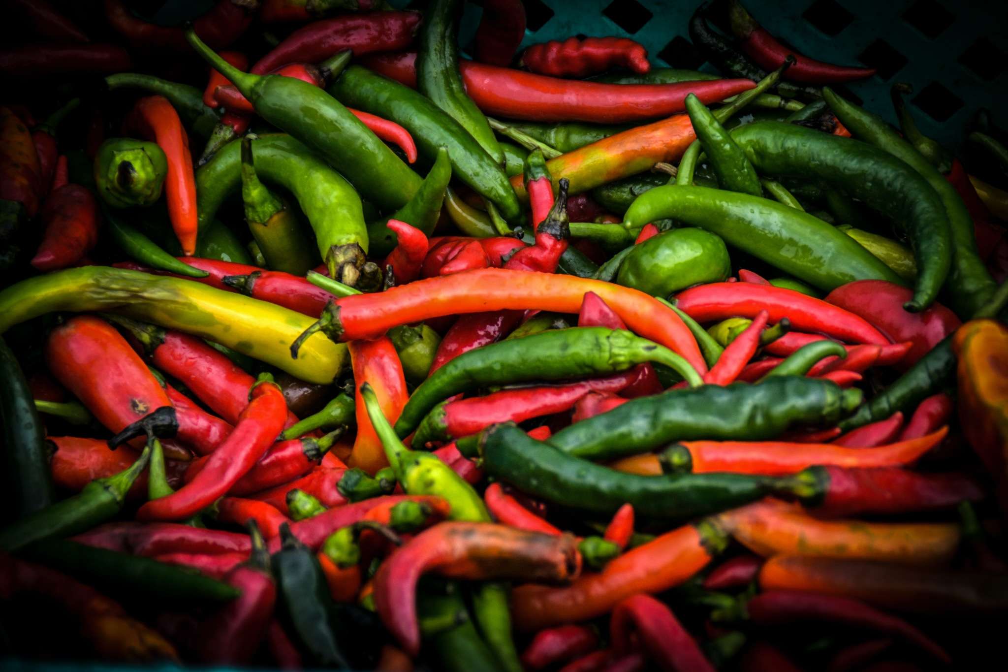 Green and Red Chili Peppers