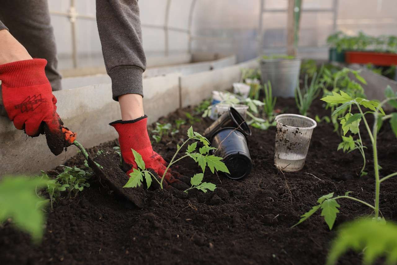 How do you build soil for a vegetable garden?