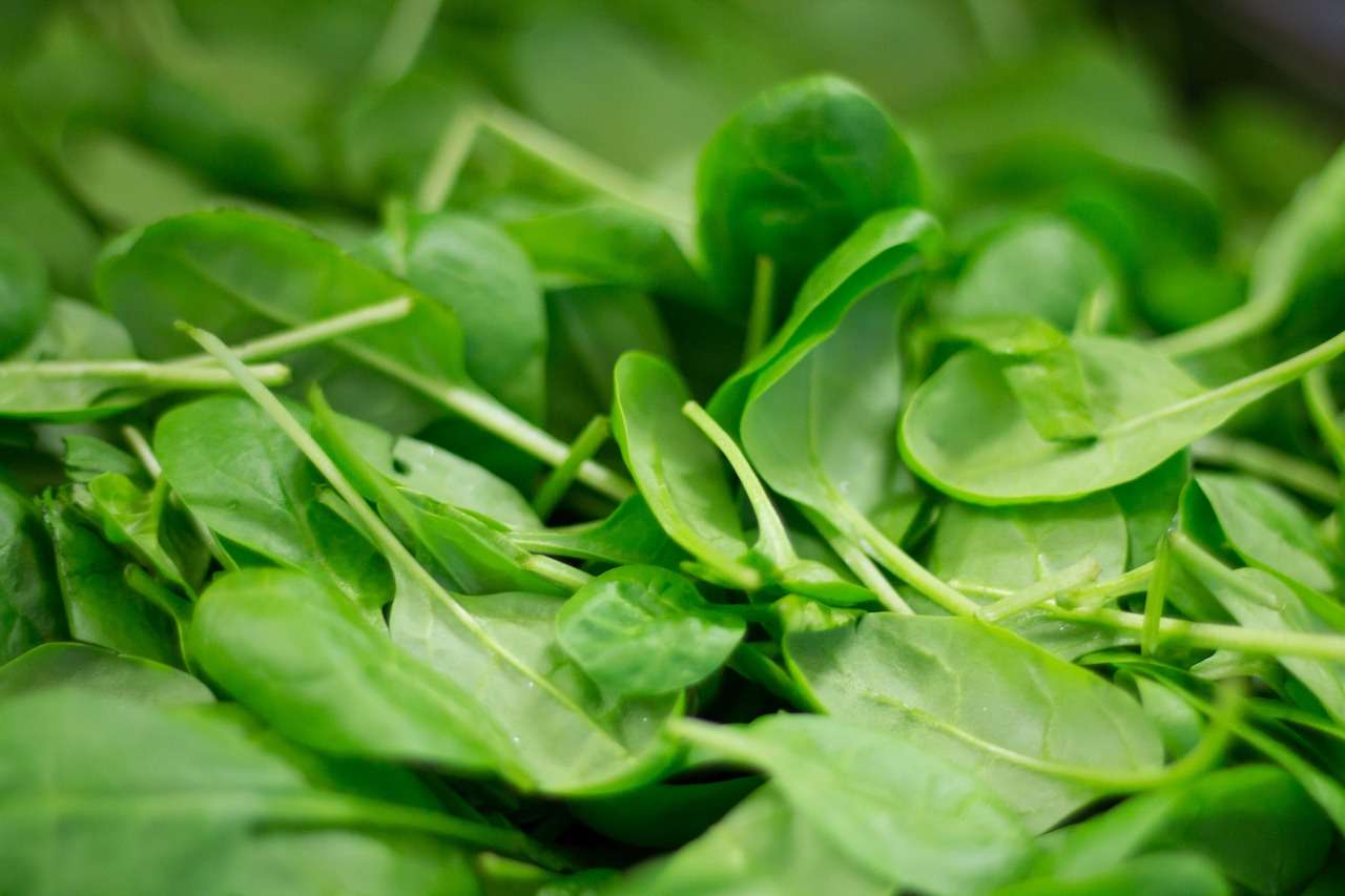 How long does it take to grow spinach?